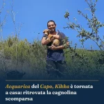 Anteprima di: Acquarica del Capo, Kikka è tornata a casa: ritrovata la cagnolina scomparsa