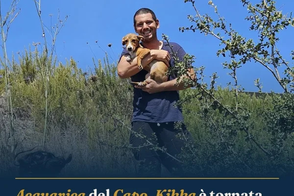 Acquarica del Capo, Kikka è tornata a casa: ritrovata la cagnolina scomparsa