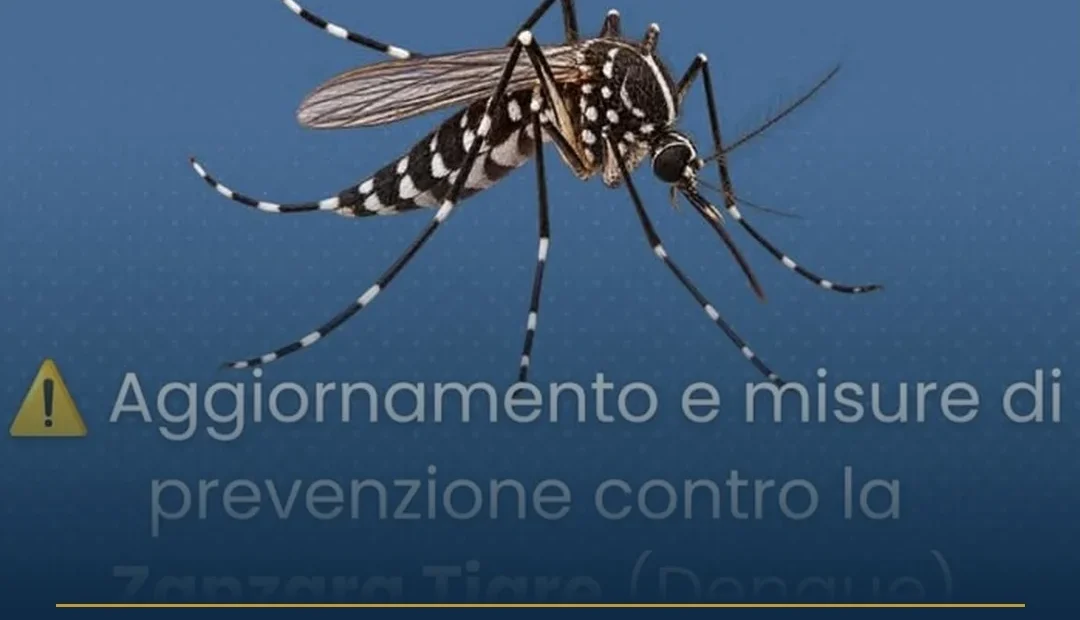 Anteprima di: Alliste, nuovi casi di Dengue: disinfestazione tra Posto Rosso e Mare Verde