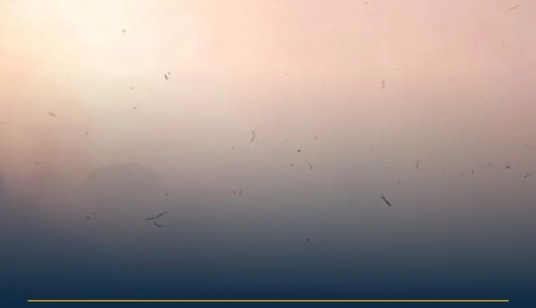 Anteprima di: Andrano, vasto incendio: case danneggiate, Protezione Civile e Vigili del Fuoco in azione
