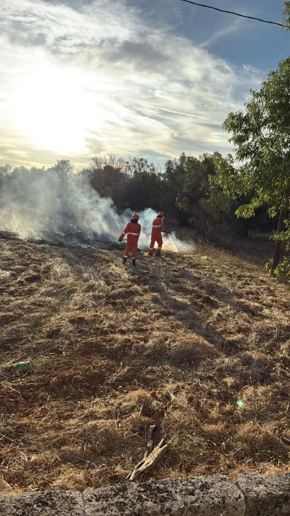 Dettaglio 4: Casarano, Protezione Civile attiva per due interventi a Taviano e Matino