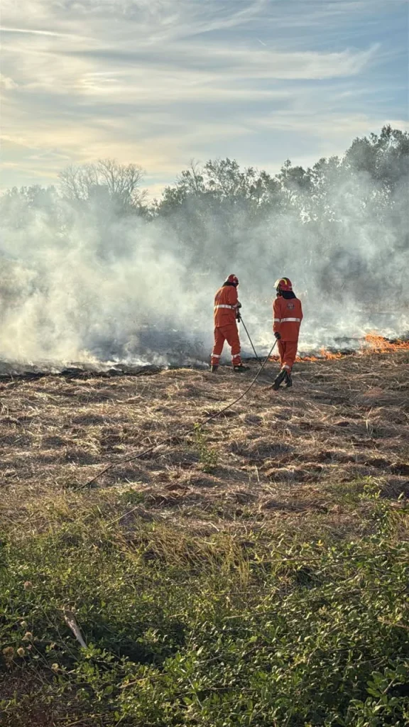 Dettaglio 5: Casarano, Protezione Civile attiva per due interventi a Taviano e Matino