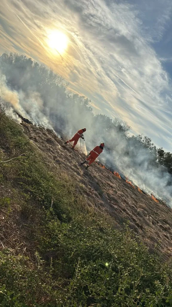 Dettaglio 7: Casarano, Protezione Civile attiva per due interventi a Taviano e Matino