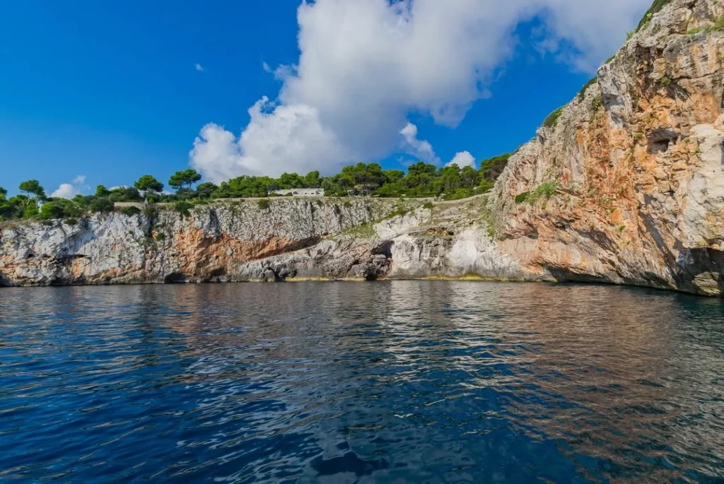 Dettaglio 5: Castro, Grotta Romanelli: scoperte sepolture medievali riscrivono la storia del sito
