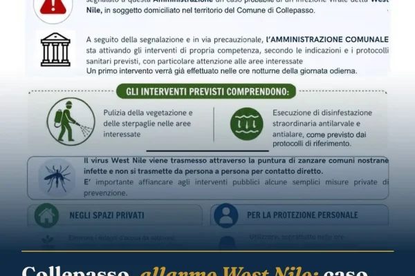 Collepasso, allarme West Nile: caso probabile, Comune avvia disinfestazione