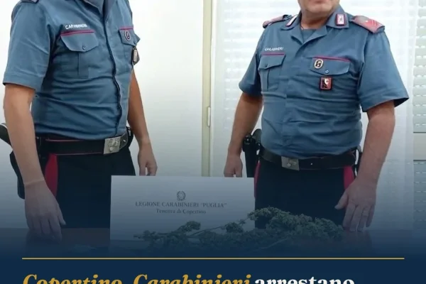 Copertino, Carabinieri arrestano 24enne per spaccio con 300 grammi di marijuana