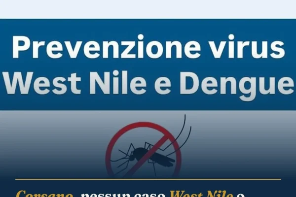 Corsano, nessun caso West Nile o Dengue: proseguono le disinfestazioni