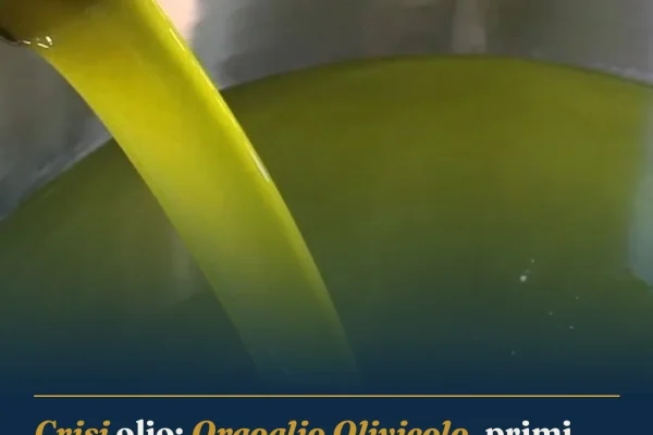 Crisi olio: Orgoglio Olivicolo, primi passi avanti con Governo e Regioni