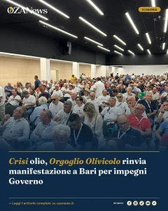 Anteprima di: Crisi olio, Orgoglio Olivicolo rinvia manifestazione a Bari per impegni Governo