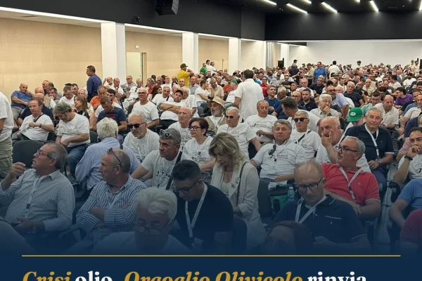 Crisi olio, Orgoglio Olivicolo rinvia manifestazione a Bari per impegni Governo