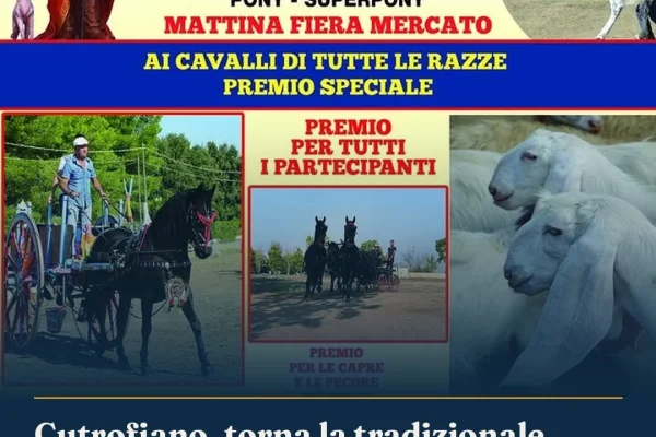 Cutrofiano, torna la tradizionale Manifestazione di San Rocco il 27 settembre