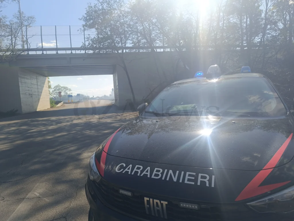 Dettaglio 5: Incidente sulla SS274, sette veicoli coinvolti a Felline: feriti e caos