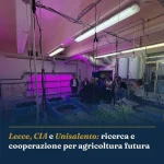 Anteprima di: Lecce, CIA e Unisalento: ricerca e cooperazione per agricoltura futura