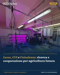 Anteprima di: Lecce, CIA e Unisalento: ricerca e cooperazione per agricoltura futura