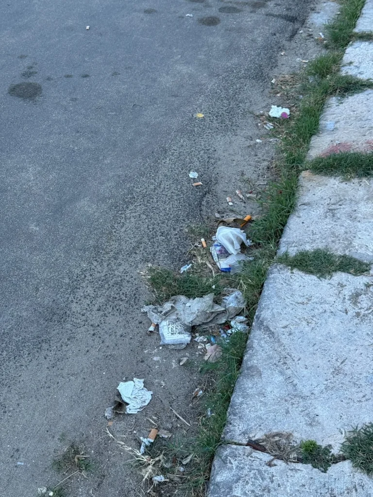 Dettaglio 4: Lido Marini, residente denuncia incuria e degrado sulle strade