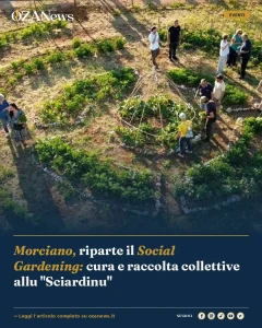 Morciano, riparte il Social Gardening: cura e raccolta collettive allu "Sciardinu"