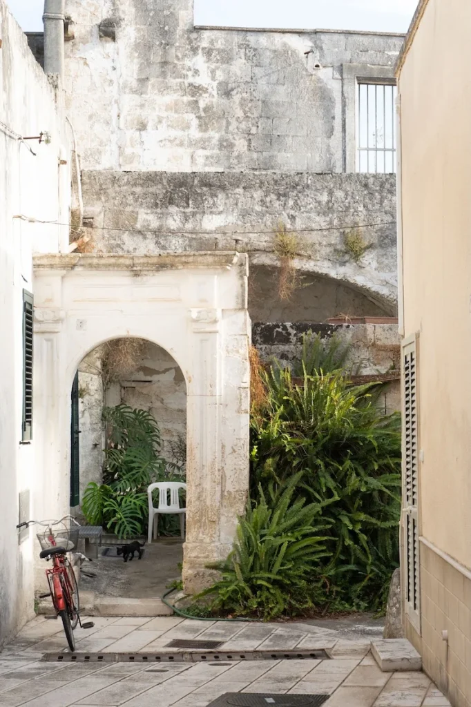 Dettaglio 2: Muro Leccese, torna "TERRA!": arte e cultura rianimano Borgo Terra