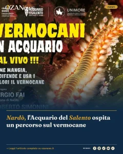 Nardò, l'Acquario del Salento ospita un percorso sul vermocane