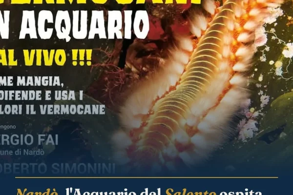 Nardò, l’Acquario del Salento ospita un percorso sul vermocane