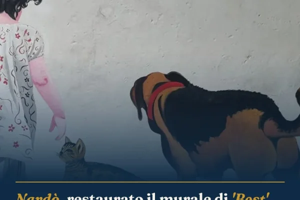 Nardò, restaurato il murale di ‘Best’ alla scuola Gabelli: valorizzata la street art