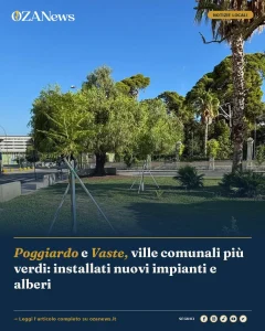 Poggiardo e Vaste, ville comunali più verdi: installati nuovi impianti e alberi