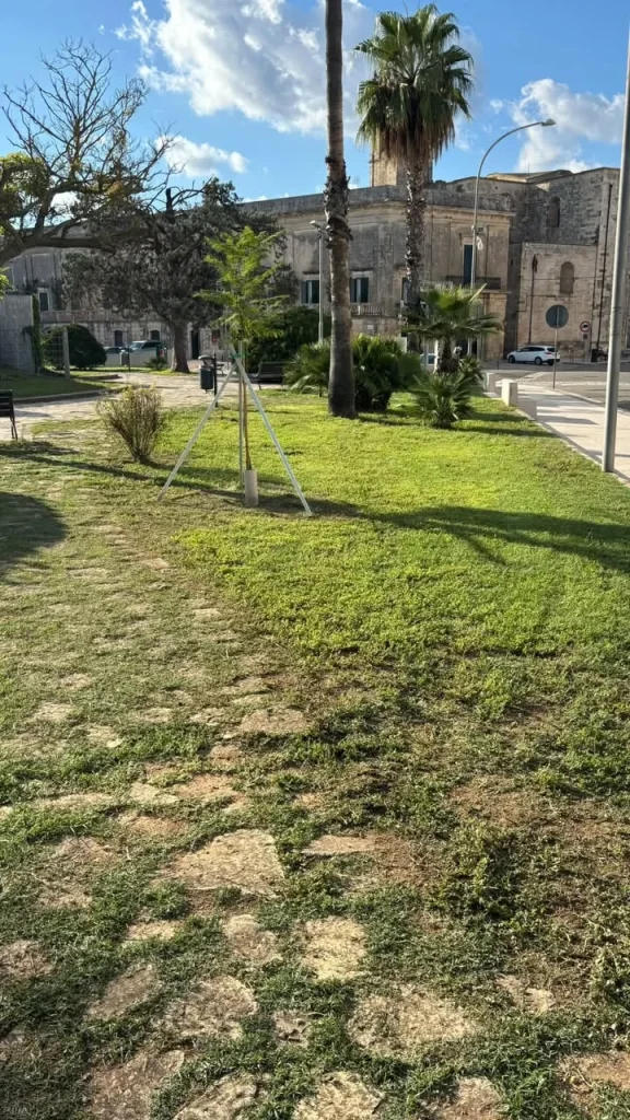 Dettaglio 3: Poggiardo e Vaste, ville comunali più verdi: installati nuovi impianti e alberi