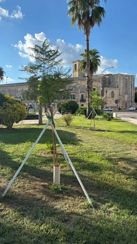 Dettaglio 4: Poggiardo e Vaste, ville comunali più verdi: installati nuovi impianti e alberi