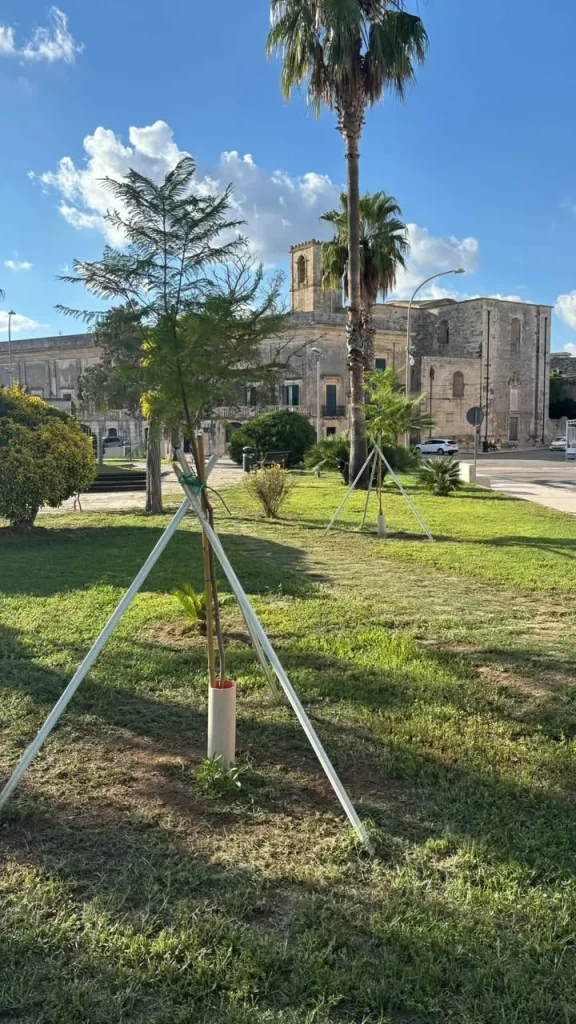 Dettaglio 5: Poggiardo e Vaste, ville comunali più verdi: installati nuovi impianti e alberi