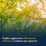 Anteprima di: Puglia, aggiornato Albo Boschi Didattici: scadenze per i gestori