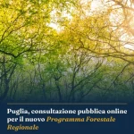 Anteprima di: Puglia, consultazione pubblica online per il nuovo Programma Forestale Regionale