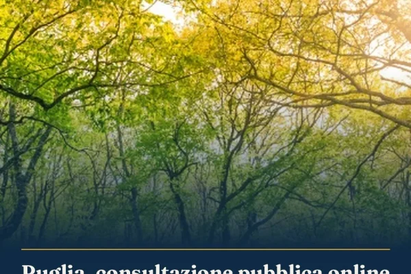 Puglia, consultazione pubblica online per il nuovo Programma Forestale Regionale