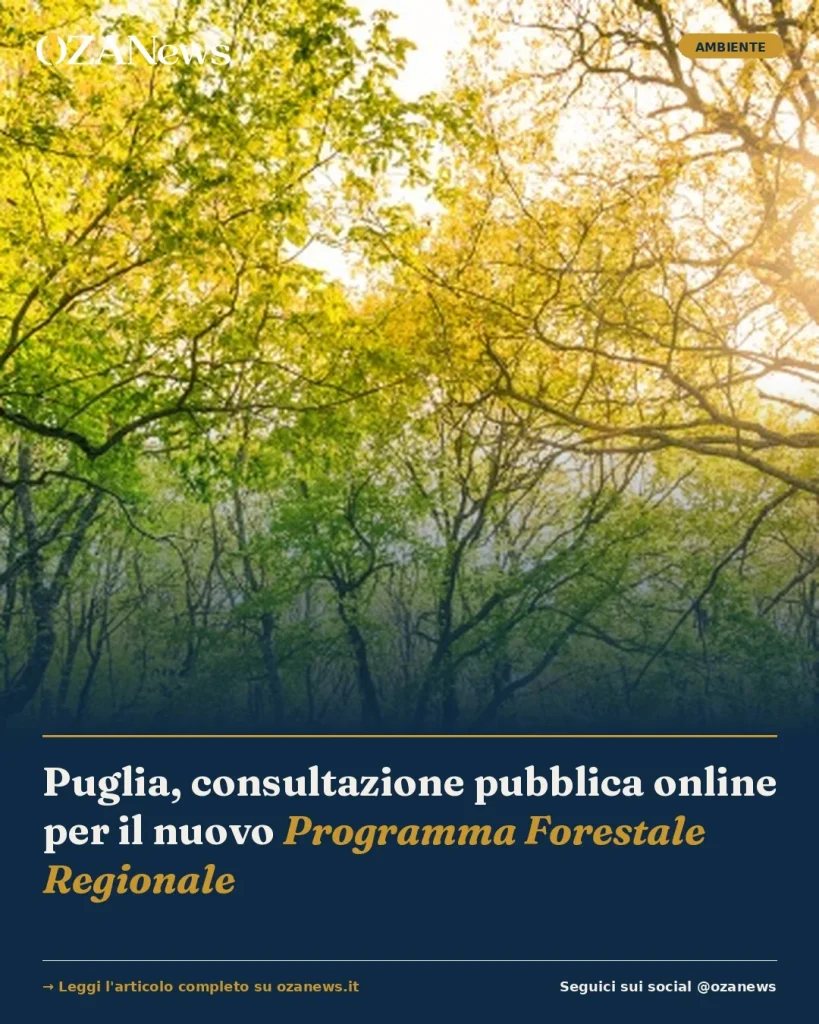 Anteprima di: Puglia, consultazione pubblica online per il nuovo Programma Forestale Regionale
