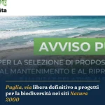 Anteprima di: Puglia, via libera definitivo a progetti per la biodiversità nei siti Natura 2000