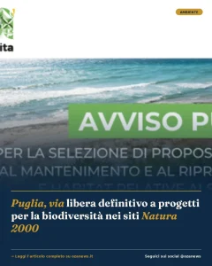 Anteprima di: Puglia, via libera definitivo a progetti per la biodiversità nei siti Natura 2000