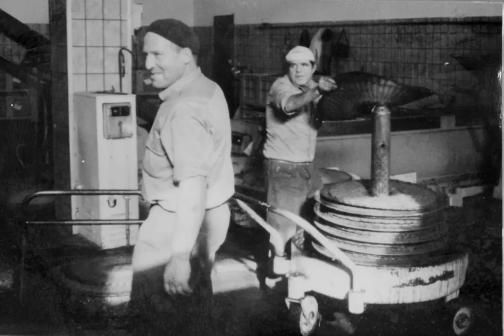 Dettaglio 8: Ruffano, il laboratorio sull'olio d'oliva continua: nuovo incontro il 30 settembre