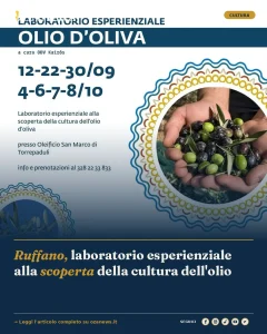 Anteprima di: Ruffano, laboratorio esperienziale alla scoperta della cultura dell'olio