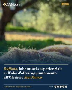 Anteprima di: Ruffano, laboratorio esperienziale sull'olio d'oliva: appuntamento all'Oleificio San Marco