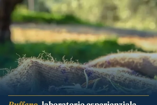 Ruffano, laboratorio esperienziale sull’olio d’oliva: appuntamento all’Oleificio San Marco