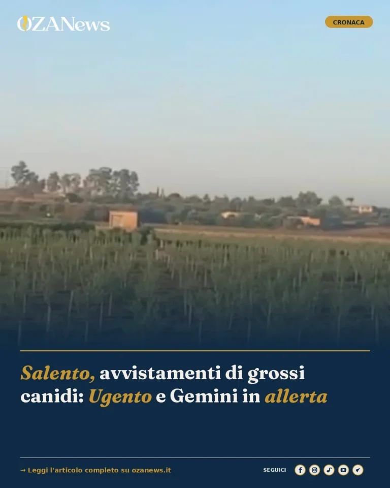 Salento, avvistamenti di grossi canidi: Ugento e Gemini in allerta