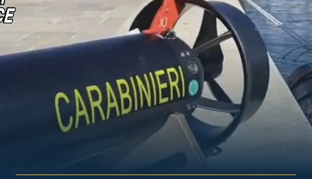 Anteprima di: Salento, Carabinieri a tutela del mare: soccorso e multa per pesca illegale