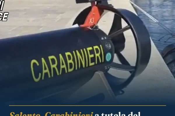 Salento, Carabinieri a tutela del mare: soccorso e multa per pesca illegale