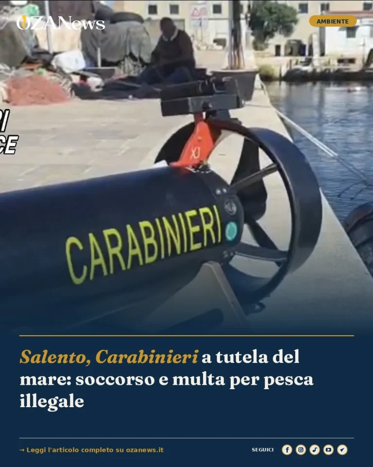 Salento, Carabinieri a tutela del mare: soccorso e multa per pesca illegale