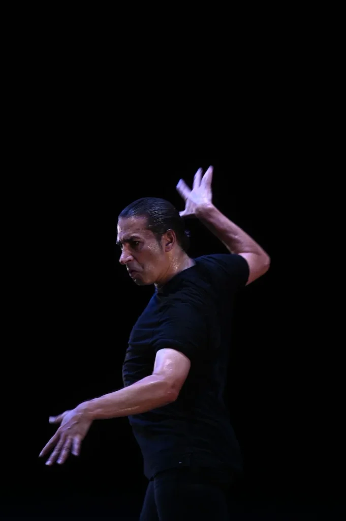 Dettaglio 5: Salento Jazz 2026: musica, danza e tradizioni nel Salento