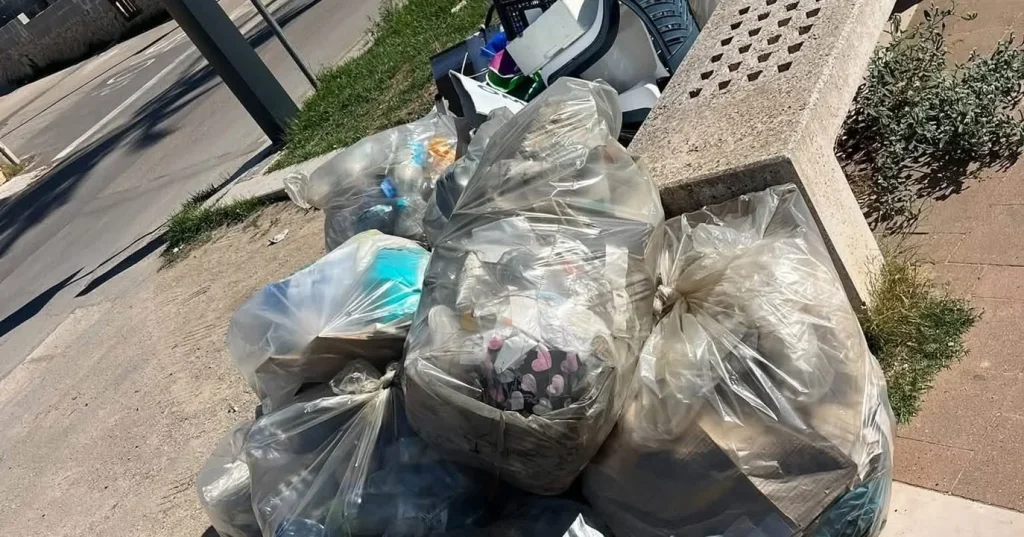Dettaglio 4: Salve, impegno civico a Pescoluse: 280 kg di rifiuti rimossi dalla costa