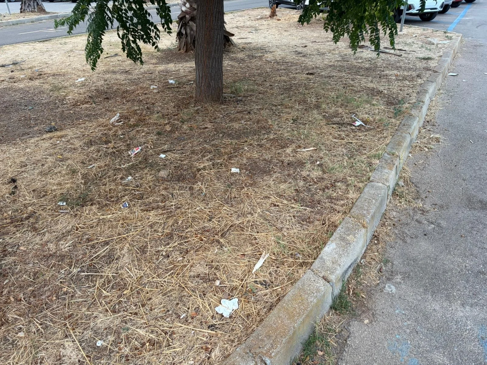 Foto: Santa Maria al Bagno, area mercatale dimenticata: la denuncia dei cittadini
