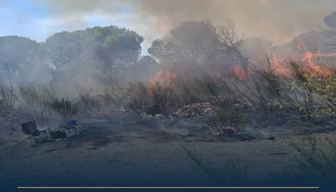 Anteprima di: Taviano, incendio vicino alle abitazioni: soccorritori al lavoro per contenere le fiamme