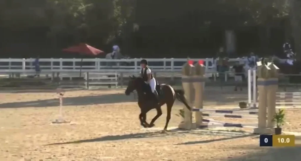 Dettaglio 7: Taviano, Ludovica Manni premiata per successi nell'equitazione ai Campionati Sud Italia