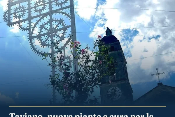Taviano, nuove piante e cura per la villetta Don Luigi Antonazzo