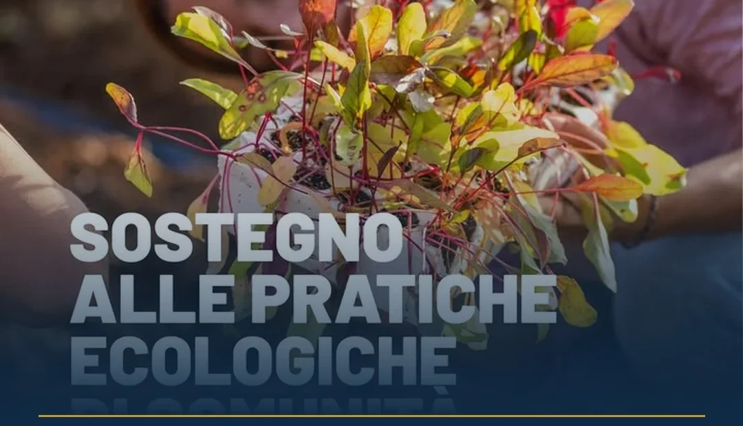 Anteprima di: Tiggiano, al via corso su agricoltura rigenerativa e orto sociale