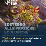 Anteprima di: Tiggiano, al via corso su agricoltura rigenerativa e orto sociale